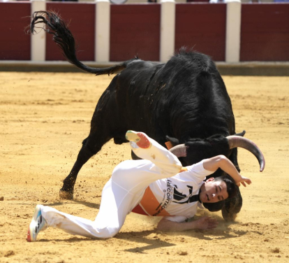 Concurso de cortes, quiebros y saltos en el coso de Zorrilla