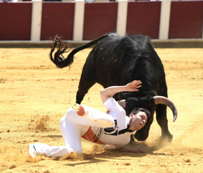 Concurso de cortes, quiebros y saltos en el coso de Zorrilla