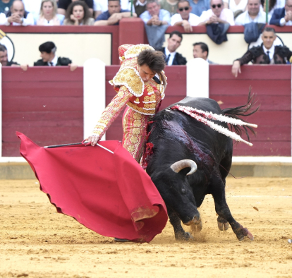 Corrida de toros en el coso de Zorrilla