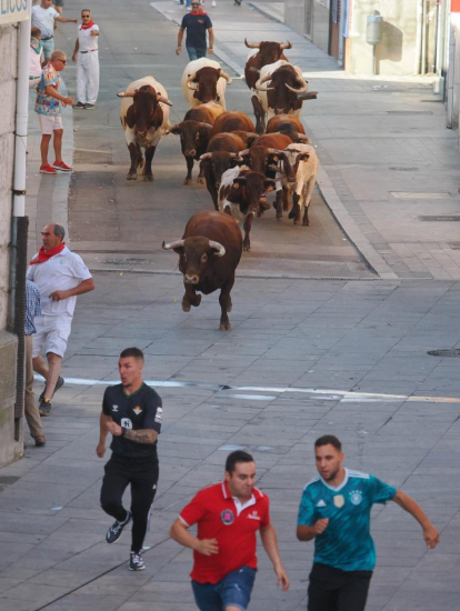 Encierro de reses bravas de Íscar