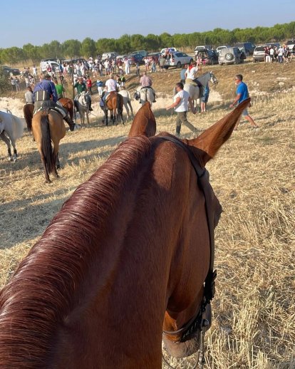 Encierro campero de Íscar