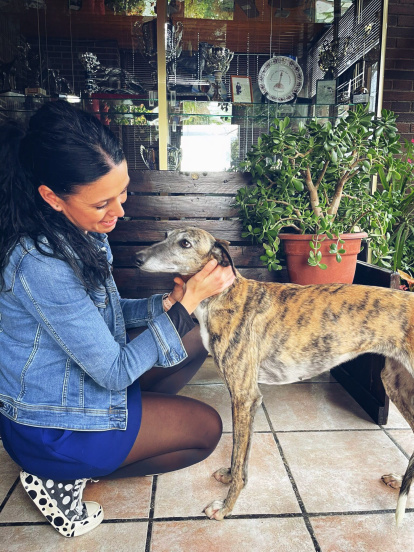 La galga zamorana Leyenda de Retumba, finalista nacional de este año 2024 junto a su propietaria en su casa.