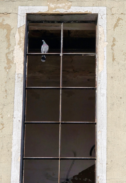 Detalle del estado de abandono.