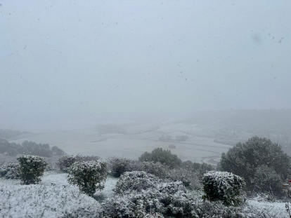 Imagenes de la nevada en la localidad vallisoletana de urueña.