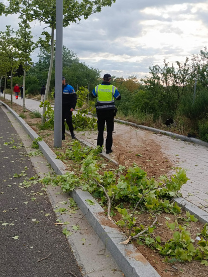 Vuelco de un vehículo en la avenida de Salamanca de Valladolid