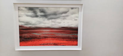 'Naturaleza imposible. Éxtasis', de María Jesús Prieto.
