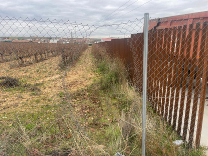 Estado en el que quedaron las instalaciones de la bodega Mayor de Castilla tras el robo.