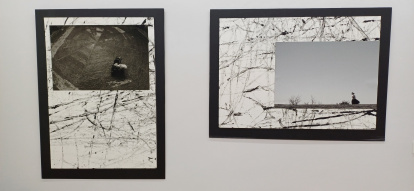 Trabajos de Vanesa Calzada.