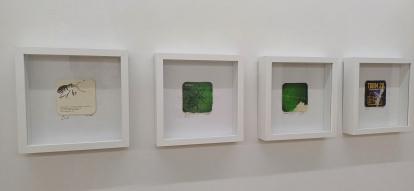 Insectos de Elisa Rodríguez