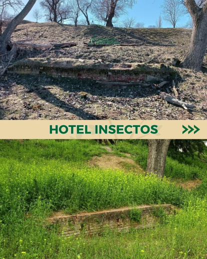 'Hotel insectos' en la reserva biológica El Tomillo