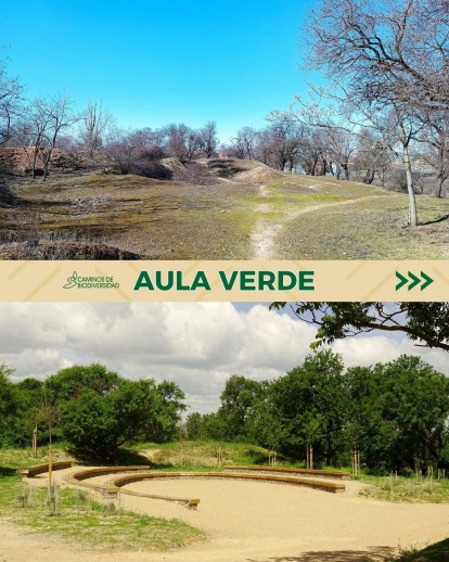 Aula verde en la reserva biológica El Tomillo
