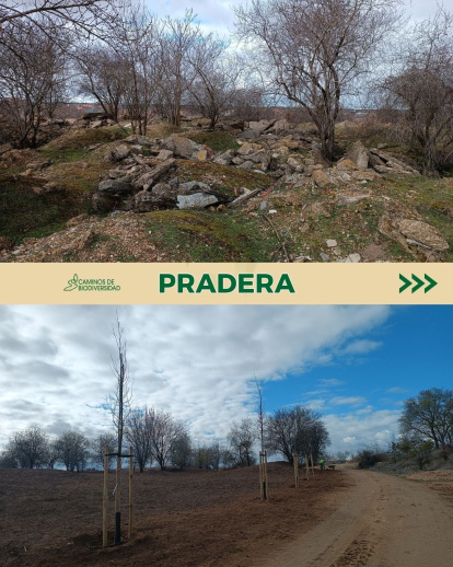 Pradera en la reserva biológica El Tomillo