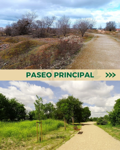 Paseo principal en la reserva biológica El Tomillo