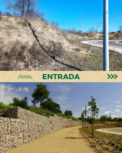 Entrada en la reserva biológica El Tomillo
