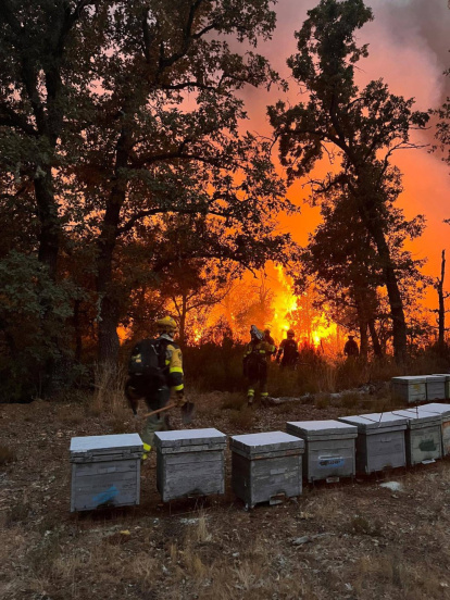 Operativo de extinción de incendios en Molezuela de Carballeda (Zamora).