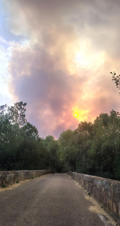 Incendio en Molezuelas de la Carballeda.