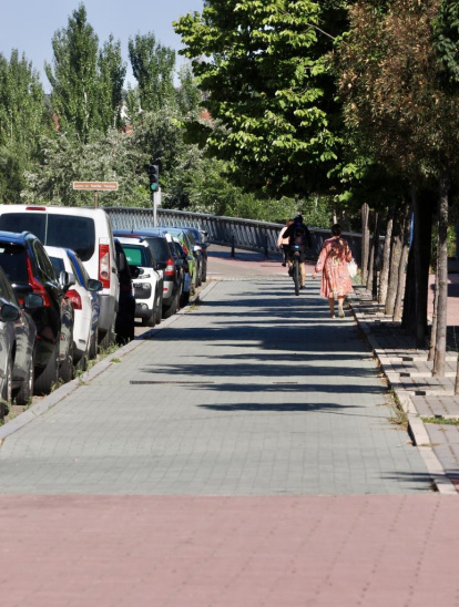 Estado actual de los carriles bici del paseo del Cauce y la calle Rábida.