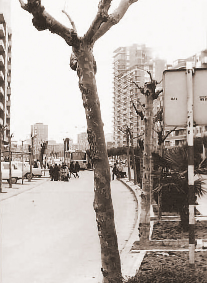Edificio de Las Mercedes en el paseo de Zorrilla de Valladolid.