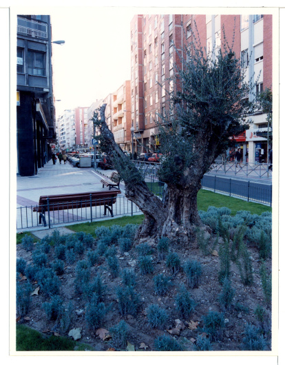 Obras de la primera fase de urbanización de la calle Gabilondo en 1998