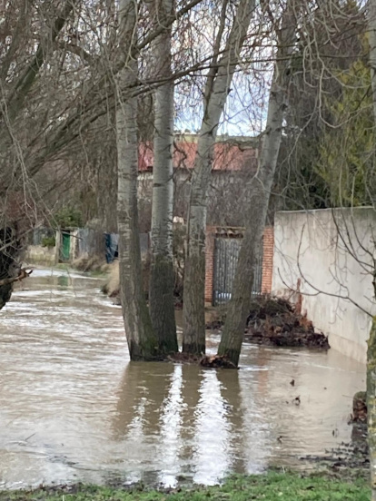 El río Duratón a su paso por Rábano.