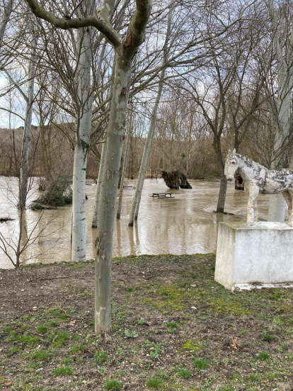El Duratón a su paso por Rábano.
