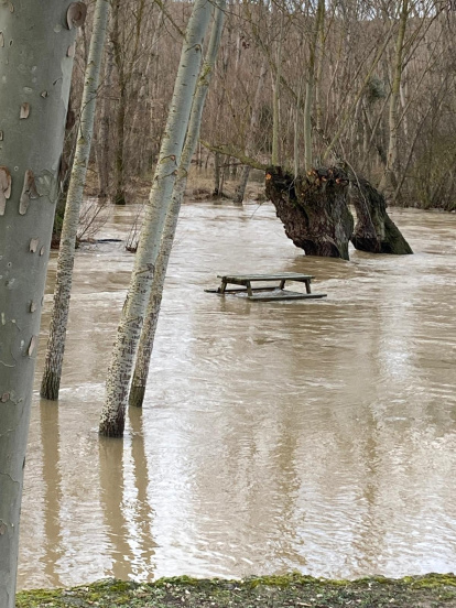 El Duratón a su paso por Rábano.