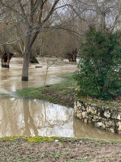 El Duratón a su paso por Rábano.