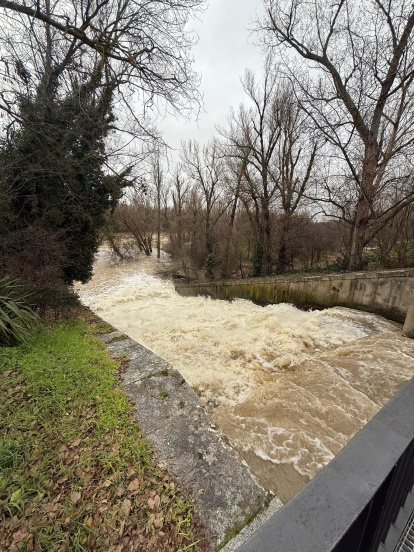 Desembocadura del Esgueva al río Pisuerga