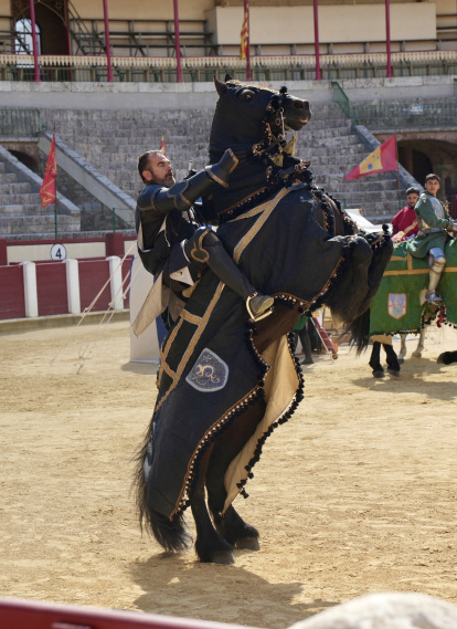 Espectáculo los 4 Reinos en la plaza de Toros