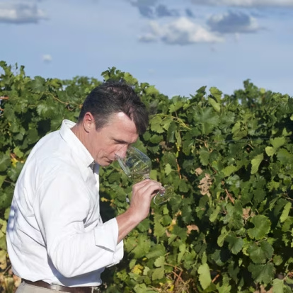 La uva verdejo y el paisaje de viñedos explican buena parte de la identidad de Rueda, uno de los grandes referentes del enoturismo vallisoletano.