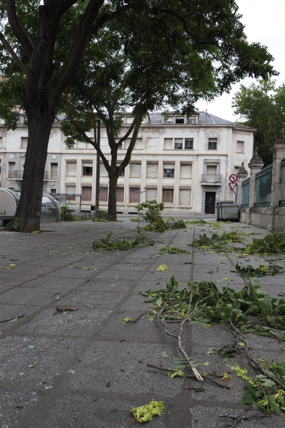 Afecciones causadas por la tormenta en diferentes puntos de Valladolid.