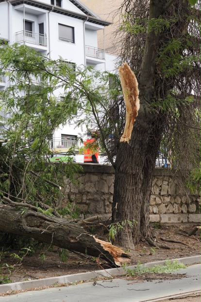 Afecciones causadas por la tormenta en diferentes puntos de Valladolid.