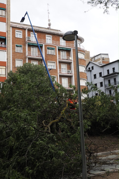 Afecciones causadas por la tormenta en diferentes puntos de Valladolid.