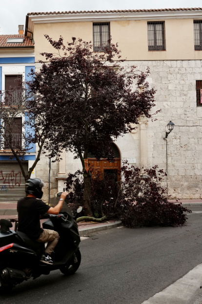 Afecciones causadas por la tormenta en diferentes puntos de Valladolid.