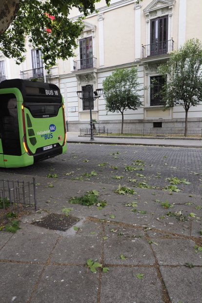 Afecciones causadas por la tormenta en diferentes puntos de Valladolid.