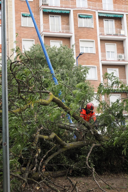 Afecciones causadas por la tormenta en diferentes puntos de Valladolid.