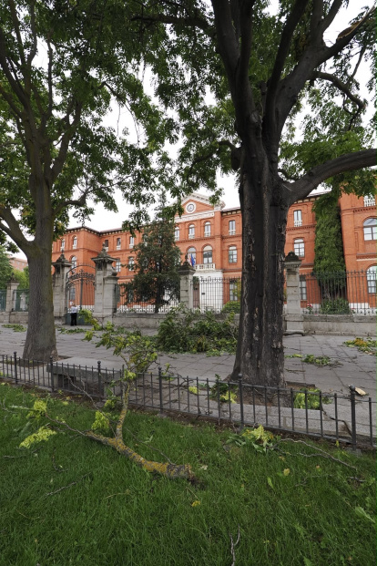 Afecciones causadas por la tormenta en diferentes puntos de Valladolid.