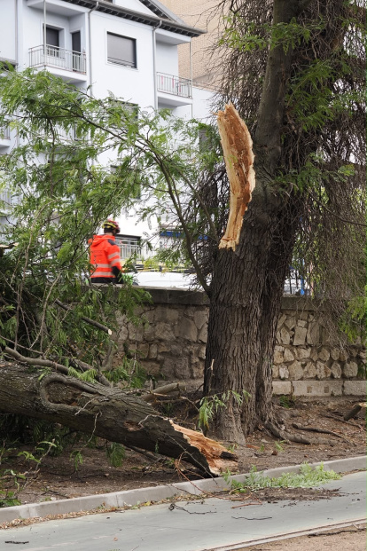 Afecciones causadas por la tormenta en diferentes puntos de Valladolid.