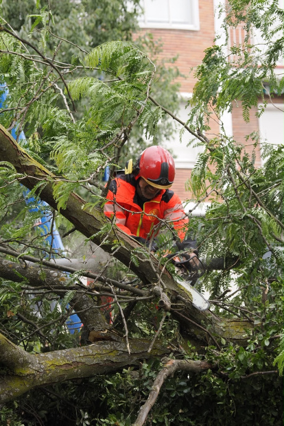 Afecciones causadas por la tormenta en diferentes puntos de Valladolid.